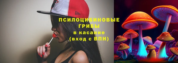 бошки Алексин