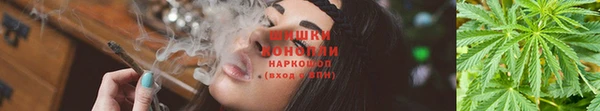 бошки Алексин