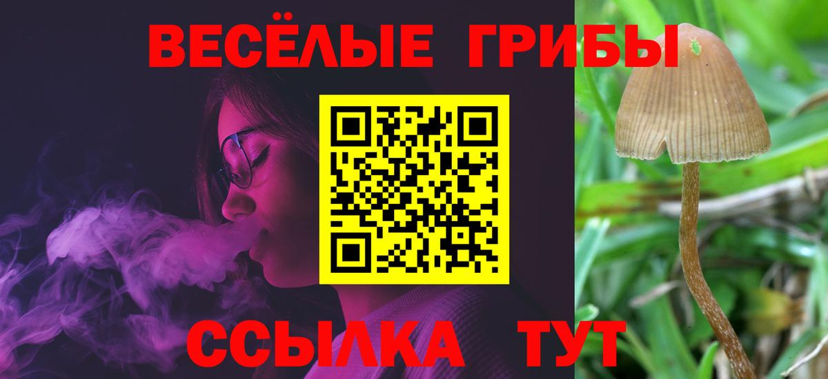 Псилоцибиновые грибы прущие грибы  Псилоцибиновые грибы прущие грибы  Вход с VPN  Усть-Лабинск 