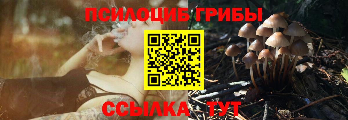 Псилоцибиновые грибы Psilocybine cubensis Усть-Лабинск